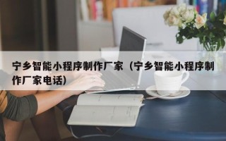 滁州宁乡智能小程序制作厂家（宁乡智能小程序制作厂家电话）