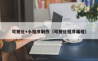 滁州可视化+小程序制作（可视化程序编程）